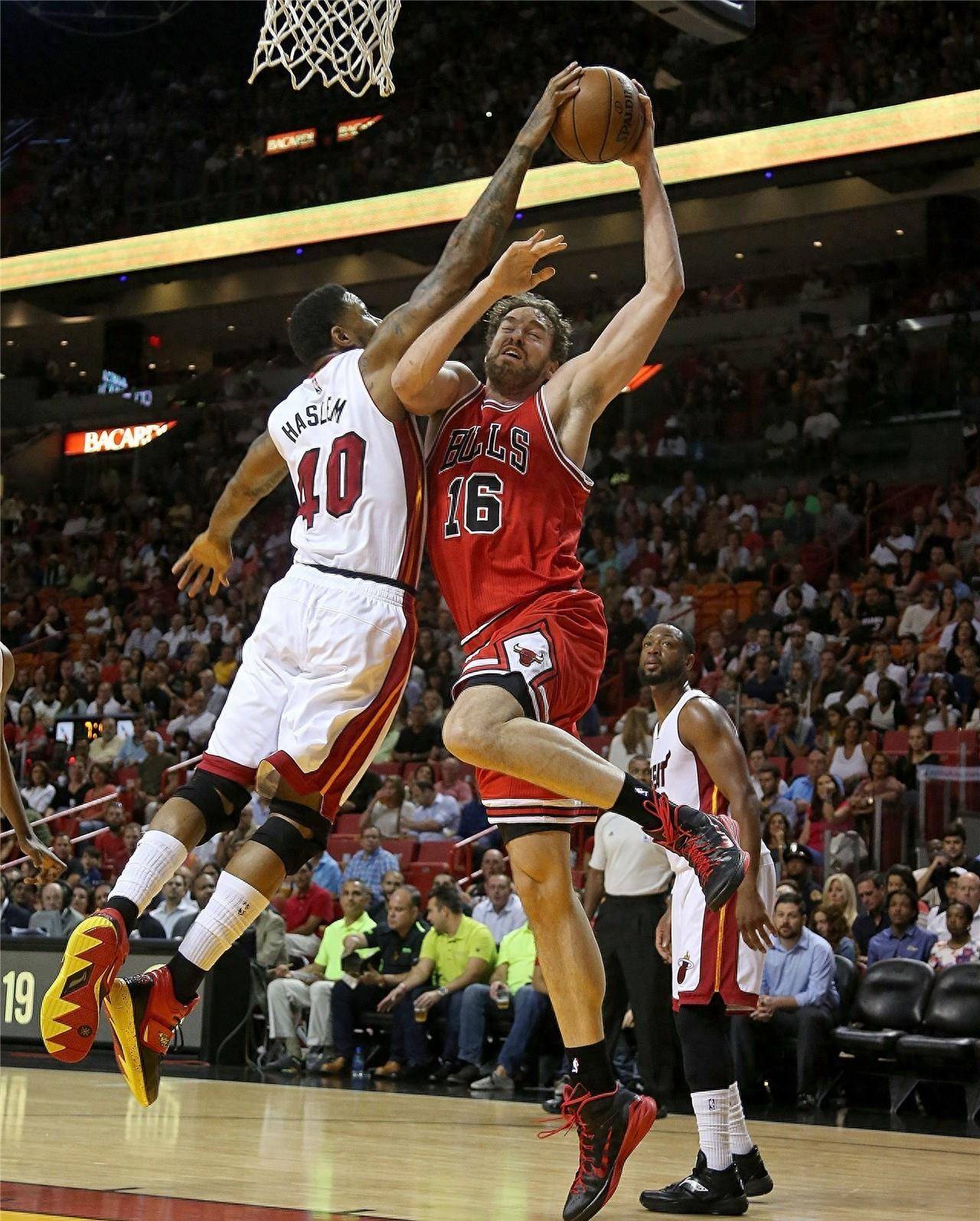 的球迷而言 的球迷而言