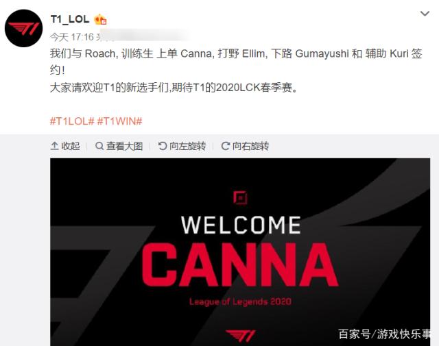 产出与成熟 产出与成熟